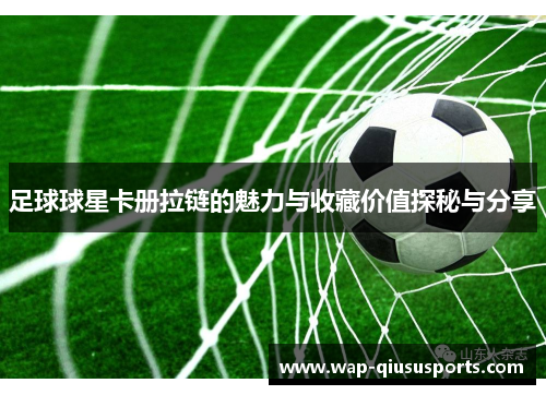 足球球星卡册拉链的魅力与收藏价值探秘与分享
